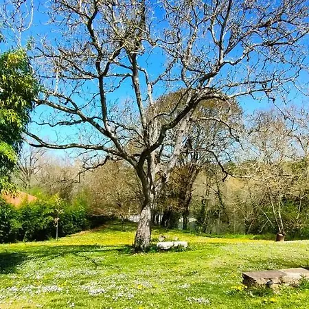 Entre Galets Apartment Sauveterre-de-Bearn